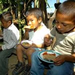 Alimentos niños